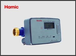 Hamic Electronic NB-Iot Remote Control Water Meter